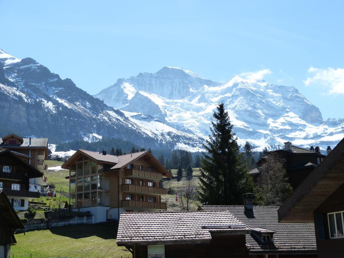 Chalet Bella Vista 4 Wengen Ngoại thất bức ảnh